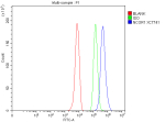 Flow Cytometry analysis of HepG2 cells using anti-NCOR1 antibody. Overlay histogram showing HepG2 cells stained with (Blue line). To facilitate intracellular staining, cells were fixed with 4% paraformaldehyde and permeabilized with permeabilization buffer. The cells were blocked with 10% normal goat serum. And then incubated with rabbit anti-NCOR1 antibody (1 ug/million cells) for 30 min at 20oC. DyLight 488 conjugated goat anti-rabbit IgG (5-10 ug/million cells) was used as secondary antibody for 30 minutes at 20oC. Isotype control antibody (Green line) was rabbit IgG (1 ug/million cells) used under the same conditions. Unlabelled sample without incubation with primary antibody and secondary antibody (Red line) was used as a blank control.