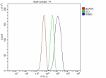 Flow Cytometry analysis of HepG2 cells using anti-RHBG antibody. Overlay histogram showing HepG2 cells stained with (Blue line). The cells were fixed with 4% paraformaldehyde and blocked with 10% normal goat serum. And then incubated with rabbit anti-RHBG antibody (1 ug/million cells) for 30 min at 20oC. DyLight 488 conjugated goat anti-rabbit IgG (5-10 ug/million cells) was used as secondary antibody for 30 minutes at 20oC. Isotype control antibody (Green line) was rabbit IgG (1 ug/million cells) used under the same conditions. Unlabelled sample without incubation with primary antibody and secondary antibody (Red line) was used as a blank control.