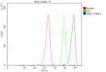Flow Cytometry analysis of MCF-7 cells using anti-SNX2 antibody. Overlay histogram showing MCF-7 cells stained with (Blue line). The cells were fixed with 4% paraformaldehyde and blocked with 10% normal goat serum. And then incubated with rabbit anti-SNX2 antibody (1 ug/million cells) for 30 min at 20oC. DyLight 488 conjugated goat anti-rabbit IgG (5-10 ug/million cells) was used as secondary antibody for 30 minutes at 20oC. Isotype control antibody (Green line) was rabbit IgG (1 ug/million cells) used under the same conditions. Unlabelled sample without incubation with primary antibody and secondary antibody (Red line) was used as a blank control.