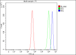 Flow Cytometry analysis of SH-SY5Y cells using anti-RIG antibody. Overlay histogram showing SH-SY5Y cells stained with (Blue line). To facilitate intracellular staining, cells were fixed with 4% paraformaldehyde and permeabilized with permeabilization buffer. The cells were blocked with 10% normal goat serum. And then incubated with rabbit anti-RIG antibody (1 ug/million cells) for 30 min at 20oC. DyLight 488 conjugated goat anti-rabbit IgG (5-10 ug/million cells) was used as secondary antibody for 30 minutes at 20oC. Isotype control antibody (Green line) was rabbit IgG (1 ug/million cells) used under the same conditions. Unlabelled sample (Red line) was also used as a control.