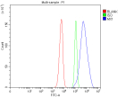 MX1 Antibody SiHa FACS. Flow cytometric analysis of fixed and permeabilized SiHa cells using MX1 Antibody / Antiviral Response Protein Antibody demonstrates a pronounced rightward shift of the MX1-positive population (blue) relative to both the isotype control (green) and unstained control (red), consistent with intracellular expression of MX1. Also known as Myxovirus Resistance Protein 1 (MxA), MX1 is an interferon-inducible dynamin-like GTPase that functions as a key mediator of innate antiviral immunity and host defense. MX1 is activated downstream of interferon signaling pathways and contributes to restriction of viral replication through multiple antiviral mechanisms. The distinct fluorescence shift supports the utility of this antibody for flow cytometric detection of MX1 expression and evaluation of interferon-responsive antiviral pathways. Cells were fixed, permeabilized, and stained using rabbit anti-MX1 antibody followed by DyLight 488-conjugated secondary antibody detection.