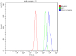 Flow Cytometry analysis of HepG2 cells using anti-TDO2 antibody. Overlay histogram showing HepG2 cells stained with (Blue line). To facilitate intracellular staining, cells were fixed with 4% paraformaldehyde and permeabilized with permeabilization buffer. The cells were blocked with 10% normal goat serum. And then incubated with rabbit anti-TDO2 antibody (1 ug/million cells) for 30 min at 20oC. DyLight 488 conjugated goat anti-rabbit IgG (5-10 ug/million cells) was used as secondary antibody for 30 minutes at 20oC. Isotype control antibody (Green line) was rabbit IgG (1 ug/million cells) used under the same conditions. Unlabelled sample without incubation with primary antibody and secondary antibody (Red line) was used as a blank control.