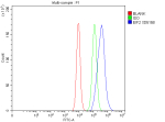 EIF2A Antibody Caco-2 FACS. Flow cytometry analysis of human Caco-2 cells stained with EIF2A antibody detecting Eukaryotic initiation factor 2A. The antibody signal (blue) shows a clear rightward shift compared to the isotype control (green) and blank control (red), indicating positive intracellular detection of EIF2A following fixation and permeabilization. This pattern is consistent with EIF2A as a cytoplasmic translation initiation factor involved in non-canonical protein synthesis and stress adaptation pathways.