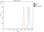 Flow Cytometry analysis of Hela cells using anti-SIRT6 antibody. Overlay histogram showing Hela cells stained with (Blue line). To facilitate intracellular staining, cells were fixed with 4% paraformaldehyde and permeabilized with permeabilization buffer. The cells were blocked with 10% normal goat serum. And then incubated with rabbit anti-SIRT6 antibody (1 ug/million cells) for 30 min at 20oC. DyLight 488 conjugated goat anti-rabbit IgG (5-10 ug/million cells) was used as secondary antibody for 30 minutes at 20oC. Isotype control antibody (Green line) was rabbit IgG (1 ug/million cells) used under the same conditions. Unlabelled sample (Red line) was also used as a control.