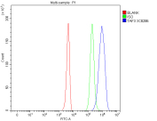 Flow cytometry analysis of fixed and permeabilized human 293T cells with TAF3 antibody at 1ug/million cells (blocked with goat sera); Red=cells alone, Green=isotype control, Blue= TAF3 antibody.
