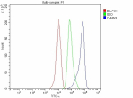 Flow Cytometry analysis of THP-1 cells using anti-CAPN3 antibody. Overlay histogram showing THP-1 cells stained with (Blue line). To facilitate intracellular staining, cells were fixed with 4% paraformaldehyde and permeabilized with permeabilization buffer. The cells were blocked with 10% normal goat serum. And then incubated with rabbit anti-CAPN3 antibody (1 ug/million cells) for 30 min at 20oC. DyLight 488 conjugated goat anti-rabbit IgG (5-10 ug/million cells) was used as secondary antibody for 30 minutes at 20oC. Isotype control antibody (Green line) was rabbit IgG (1 ug/million cells) used under the same conditions. Unlabelled sample without incubation with primary antibody and secondary antibody (Red line) was used as a blank control.