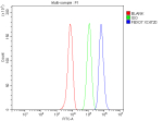 Flow Cytometry analysis of HepG2 cells using anti-FBXO7 antibody. Overlay histogram showing HepG2 cells stained with (Blue line). To facilitate intracellular staining, cells were fixed with 4% paraformaldehyde and permeabilized with permeabilization buffer. The cells were blocked with 10% normal goat serum. And then incubated with rabbit anti-FBXO7 antibody (1 ug/million cells) for 30 min at 20oC. DyLight 488 conjugated goat anti-rabbit IgG (5-10 ug/million cells) was used as secondary antibody for 30 minutes at 20oC. Isotype control antibody (Green line) was rabbit IgG (1 ug/million cells) used under the same conditions. Unlabelled sample without incubation with primary antibody and secondary antibody (Red line) was used as a blank control.