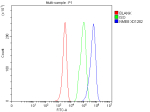Flow Cytometry analysis of HEL cells using anti-NME8 antibody. Overlay histogram showing HEL cells stained with (Blue line). To facilitate intracellular staining, cells were fixed with 4% paraformaldehyde and permeabilized with permeabilization buffer. The cells were blocked with 10% normal goat serum. And then incubated with rabbit anti-NME8 antibody (1 ug/million cells) for 30 min at 20oC. DyLight 488 conjugated goat anti-rabbit IgG (5-10 ug/million cells) was used as secondary antibody for 30 minutes at 20oC. Isotype control antibody (Green line) was rabbit IgG (1 ug/million cells) used under the same conditions. Unlabelled sample without incubation with primary antibody and secondary antibody (Red line) was used as a blank control.