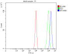 Flow Cytometry analysis of PC-3 cells using anti-RFXANK antibody. Overlay histogram showing PC-3 cells stained with (Blue line). To facilitate intracellular staining, cells were fixed with 4% paraformaldehyde and permeabilized with permeabilization buffer. The cells were blocked with 10% normal goat serum. And then incubated with rabbit anti-RFXANK antibody (1 ug/million cells) for 30 min at 20oC. DyLight 488 conjugated goat anti-rabbit IgG (5-10 ug/million cells) was used as secondary antibody for 30 minutes at 20oC. Isotype control antibody (Green line) was rabbit IgG (1 ug/million cells) used under the same conditions. Unlabelled sample (Red line) was also used as a control.