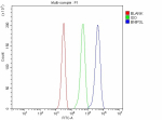 Flow Cytometry analysis of human JK cells using anti-BNIP3L antibody. Overlay histogram showing JK cells stained with (Blue line). To facilitate intracellular staining, cells were fixed with 4% paraformaldehyde and permeabilized with permeabilization buffer. The cells were blocked with 10% normal goat serum. And then incubated with rabbit anti-BNIP3L antibody (1 ug/million cells) for 30 min at 20oC. DyLight 488 conjugated goat anti-rabbit IgG (5-10 ug/million cells) was used as secondary antibody for 30 minutes at 20oC. Isotype control antibody (Green line) was rabbit IgG (1 ug/million cells) used under the same conditions. Unlabelled sample without incubation with primary antibody and secondary antibody (Red line) was used as a blank control.