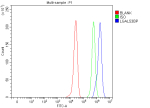 Flow Cytometry analysis of HepG2 cells using anti-LGALS3BP antibody. Overlay histogram showing HepG2 cells stained with (Blue line). The cells were fixed with 4% paraformaldehyde and blocked with 10% normal goat serum. And then incubated with rabbit anti-LGALS3BP antibody (1 ug/million cells) for 30 min at 20oC. DyLight 488 conjugated goat anti-rabbit IgG (5-10 ug/million cells) was used as secondary antibody for 30 minutes at 20oC. Isotype control antibody (Green line) was rabbit IgG (1 ug/million cells) used under the same conditions. Unlabelled sample (Red line) was also used as a control.