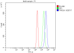 Flow Cytometry analysis of RT4 cells using anti-TWSG1 antibody. Overlay histogram showing RT4 cells stained with (Blue line). The cells were fixed with 4% paraformaldehyde and blocked with 10% normal goat serum. And then incubated with rabbit anti-TWSG1 antibody (1 ug/million cells) for 30 min at 20oC. DyLight 488 conjugated goat anti-rabbit IgG (5-10 ug/million cells) was used as secondary antibody for 30 minutes at 20oC. Isotype control antibody (Green line) was rabbit IgG (1 ug/million cells) used under the same conditions. Unlabelled sample without incubation with primary antibody and secondary antibody (Red line) was used as a blank control.
