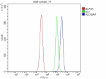 Flow Cytometry analysis of JK cells using anti-ALOX5AP antibody. Overlay histogram showing JK cells stained with (Blue line). To facilitate intracellular staining, cells were fixed with 4% paraformaldehyde and permeabilized with permeabilization buffer. The cells were blocked with 10% normal goat serum. And then incubated with rabbit anti-ALOX5AP antibody (1 ug/million cells) for 30 min at 20oC. DyLight 488 conjugated goat anti-rabbit IgG (5-10 ug/million cells) was used as secondary antibody for 30 minutes at 20oC. Isotype control antibody (Green line) was rabbit IgG (1 ug/million cells) used under the same conditions. Unlabelled sample without incubation with primary antibody and secondary antibody (Red line) was used as a blank control.