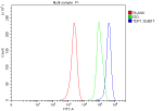 Flow Cytometry analysis of MCF-7 cells using anti-TDP1 antibody. Overlay histogram showing MCF-7 cells stained with (Blue line). To facilitate intracellular staining, cells were fixed with 4% paraformaldehyde and permeabilized with permeabilization buffer. The cells were blocked with 10% normal goat serum. And then incubated with rabbit anti-TDP1 antibody (1 ug/million cells) for 30 min at 20oC. DyLight 488 conjugated goat anti-rabbit IgG (5-10 ug/million cells) was used as secondary antibody for 30 minutes at 20oC. Isotype control antibody (Green line) was rabbit IgG (1 ug/million cells) used under the same conditions. Unlabelled sample without incubation with primary antibody and secondary antibody (Red line) was used as a blank control.