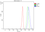 Flow Cytometry analysis of HepG2 cells using anti-NR1D2 antibody. Overlay histogram showing HepG2 cells stained with (Blue line). To facilitate intracellular staining, cells were fixed with 4% paraformaldehyde and permeabilized with permeabilization buffer. The cells were blocked with 10% normal goat serum. And then incubated with rabbit anti-NR1D2 antibody (1 ug/million cells) for 30 min at 20oC. DyLight 488 conjugated goat anti-rabbit IgG (5-10 ug/million cells) was used as secondary antibody for 30 minutes at 20oC. Isotype control antibody (Green line) was rabbit IgG (1 ug/million cells) used under the same conditions. Unlabelled sample (Red line) was also used as a control.