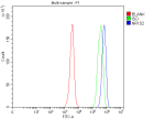 Flow Cytometry analysis of JK cells using anti-NR1D2 antibody. Overlay histogram showing JK cells stained with (Blue line). To facilitate intracellular staining, cells were fixed with 4% paraformaldehyde and permeabilized with permeabilization buffer. The cells were blocked with 10% normal goat serum. And then incubated with rabbit anti-NR1D2 antibody (1 ug/million cells) for 30 min at 20oC. DyLight 488 conjugated goat anti-rabbit IgG (5-10 ug/million cells) was used as secondary antibody for 30 minutes at 20oC. Isotype control antibody (Green line) was rabbit IgG (1 ug/million cells) used under the same conditions. Unlabelled sample (Red line) was also used as a control.