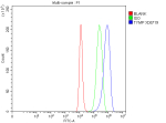 TYMP Antibody A431 FACS. Flow cytometry analysis of human A431 cells stained with TYMP antibody detecting thymidine phosphorylase. The antibody signal (blue) shows a clear rightward shift compared to the blank control (red) and isotype control (green), indicating positive intracellular detection of TYMP following fixation and permeabilization. This staining profile is consistent with TYMP as a cytosolic enzyme involved in nucleotide metabolism and angiogenesis-associated signaling.