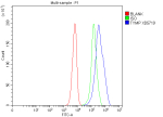 TYMP Antibody SiHa FACS. Flow cytometry analysis of human SiHa cells stained with TYMP antibody detecting thymidine phosphorylase. The antibody signal (blue) shows a clear rightward shift compared to the blank control (red) and isotype control (green), indicating positive intracellular detection of TYMP following fixation and permeabilization. This staining pattern is consistent with TYMP as a cytosolic enzyme involved in nucleotide metabolism and angiogenesis-associated signaling.