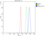 Flow Cytometry analysis of 293T cells using anti-EIF4A3 antibody. Overlay histogram showing 293T cells stained with (Blue line). To facilitate intracellular staining, cells were fixed with 4% paraformaldehyde and permeabilized with permeabilization buffer. The cells were blocked with 10% normal goat serum. And then incubated with rabbit anti-EIF4A3 antibody (1 ug/million cells) for 30 min at 20oC. DyLight 488 conjugated goat anti-rabbit IgG (5-10 ug/million cells) was used as secondary antibody for 30 minutes at 20oC. Isotype control antibody (Green line) was rabbit IgG (1 ug/million cells) used under the same conditions. Unlabelled sample without incubation with primary antibody and secondary antibody (Red line) was used as a blank control.
