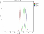 Flow Cytometry analysis of 293T cells using anti-HSPA4 antibody. Overlay histogram showing 293T cells stained with (Blue line). To facilitate intracellular staining, cells were fixed with 4% paraformaldehyde and permeabilized with permeabilization buffer. The cells were blocked with 10% normal goat serum. And then incubated with rabbit anti-HSPA4 antibody (1 ug/million cells) for 30 min at 20oC. DyLight 488 conjugated goat anti-rabbit IgG (5-10 ug/million cells) was used as secondary antibody for 30 minutes at 20oC. Isotype control antibody (Green line) was rabbit IgG (1 ug/million cells) used under the same conditions. Unlabelled sample without incubation with primary antibody and secondary antibody (Red line) was used as a blank control.