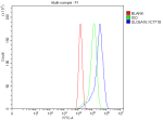 Flow Cytometry analysis of cells using anti-SLC6A16 antibody. Overlay histogram showing human A549 cells stained with (Blue line). The cells were fixed with 4% paraformaldehyde and blocked with 10% normal goat serum. And then incubated with rabbit anti-SLC6A16 antibody (1 ug/million cells) for 30 min at 20oC. DyLight 488 conjugated goat anti-rabbit IgG (5-10 ug/million cells) was used as secondary antibody for 30 minutes at 20oC. Isotype control antibody (Green line) was rabbit IgG (1 ug/million cells) used under the same conditions. Unlabelled sample without incubation with primary antibody and secondary antibody (Red line) was used as a blank control.