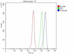 Flow Cytometry analysis of Hela cells using anti-PCDHA2 antibody. Overlay histogram showing human HeLa cells stained with (Blue line). The cells were fixed with 4% paraformaldehyde and blocked with 10% normal goat serum. And then incubated with rabbit anti-PCDHA2 antibody (1 ug/million cells) for 30 min at 20oC. DyLight 488 conjugated goat anti-rabbit IgG (5-10 ug/million cells) was used as secondary antibody for 30 minutes at 20oC. Isotype control antibody (Green line) was rabbit IgG (1 ug/million cells) used under the same conditions. Unlabelled sample without incubation with primary antibody and secondary antibody (Red line) was used as a blank control.