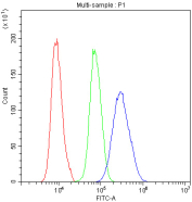 Flow cytometry analysis of fixed and permeabilized human U-2 OS cells with GNAQ antibody at 1ug/million cells (blocked with goat sera); Red=cells alone, Green=isotype control, Blue= GNAQ antibody.
