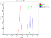 Flow cytometry analysis of fixed and permeabilized human SH-SY5Y cells with EGLN1 antibody at 1ug/million cells (blocked with goat sera); Red=cells alone, Green=isotype control, Blue= EGLN1 antibody.