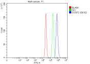 Flow cytometry analysis of fixed and permeabilized human RT4 cells with DUSP2 antibody at 1ug/million cells (blocked with goat sera); Red=cells alone, Green=isotype control, Blue= DUSP2 antibody.