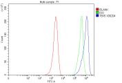 Flow cytometry analysis of fixed and permeabilized human MCF7 cells with TBX5 antibody at 1ug/million cells (blocked with goat sera); Red=cells alone, Green=isotype control, Blue= TBX5 antibody.