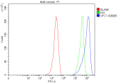 Flow cytometry analysis of fixed and permeabilized human MCF7 cells with UFC1 antibody at 1ug/million cells (blocked with goat sera); Red=cells alone, Green=isotype control, Blue= UFC1 antibody.