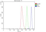 PIST Antibody / Golgi Trafficking Protein Antibody HEL Cell FACS. Flow cytometry analysis of human HEL cells using PIST Antibody / Golgi Trafficking Protein Antibody. Cells were fixed, permeabilized and incubated with the primary antibody at 1 ug/million cells, followed by DyLight 488-conjugated secondary antibody. The blue histogram represents PIST/GOPC staining, while green represents isotype control and red represents unstained cells. Clear positive signal separation supports the use of PIST Antibody / Golgi Trafficking Protein Antibody for analyzing Golgi trafficking protein expression and intracellular protein sorting pathways by flow cytometry.