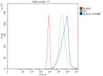 ELAVL1 Antibody A431 Cell FACS. Flow cytometric analysis of fixed and permeabilized A431 cells using ELAVL1 Antibody. Cells were fixed with 4% paraformaldehyde, permeabilized, blocked with normal goat serum, and incubated with ELAVL1 Antibody (1 ug/10^6 cells) for 30 minutes at 20Â°C. A Fluoro488-conjugated goat anti-rabbit secondary antibody was used for detection. The blue histogram represents ELAVL1 staining, the green histogram is the rabbit IgG isotype control, and the red histogram is the unstained control. A distinct rightward shift of the ELAVL1-stained population relative to the isotype control demonstrates specific intracellular detection of endogenous ELAVL1 in A431 cells. These results demonstrate that ELAVL1 Antibody, an ELAV Like RNA Binding Protein 1 Antibody, is suitable for flow cytometric analysis of intracellular ELAVL1 expression.