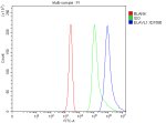 ELAVL1 Antibody Jurkat Cell FACS. Flow cytometric analysis of fixed and permeabilized Jurkat cells using ELAVL1 Antibody. Cells were fixed with 4% paraformaldehyde, permeabilized, blocked with normal goat serum, and incubated with ELAVL1 Antibody (1 ug/10^6 cells) for 30 minutes at 20Â°C. A Fluoro488-conjugated goat anti-rabbit secondary antibody was used for detection. The blue histogram represents ELAVL1 staining, the green histogram is the rabbit IgG isotype control, and the red histogram is the unstained control. A pronounced rightward shift of the ELAVL1-stained population demonstrates specific intracellular detection of endogenous ELAVL1. These results demonstrate that ELAVL1 Antibody, an ELAV Like RNA Binding Protein 1 Antibody, is suitable for flow cytometric analysis of intracellular ELAVL1 expression.