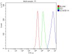 SRBI Antibody HepG2 Cell FACS. Flow cytometry analysis of fixed HepG2 cells demonstrated a pronounced rightward fluorescence shift with SRBI Antibody (blue) compared with the isotype control (green) and unstained cells (red), indicating specific detection of endogenous SRBI expression. Cells were stained with 1 ug antibody per 1Ã10^6 cells followed by a Fluoro488-conjugated secondary antibody. This SRBI Antibody, an HDL Receptor Antibody, is suitable for flow cytometric analysis of cell surface receptor expression in studies of cholesterol transport, lipoprotein metabolism and cardiovascular biology.