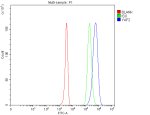 YAF2 Antibody Human 293T FACS. Flow cytometry analysis of fixed and permeabilized human 293T cells stained with YAF2 antibody shows a clear rightward shift (blue) compared with the isotype control (green), while the unstained blank control is shown in red. Cells were incubated with YAF2 antibody at 1 ug/10^6 cells, followed by a Fluoro488-conjugated secondary antibody. The distinct fluorescence shift demonstrates specific intracellular detection of YAF2 in 293T cells. This YAF2 Antibody, also called YY1-associated factor 2 Antibody, is suitable for studies of transcriptional regulation, nuclear protein expression, and YY1-associated signaling pathways.