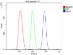 FDPS Antibody Human Monocytic Leukemia Cell FACS. Flow cytometry analysis of fixed and permeabilized human THP-1 cells using FDPS antibody demonstrated a clear rightward shift of the stained cell population (blue) relative to the isotype control (green), indicating specific intracellular detection of FDPS. Cells without primary and secondary antibodies served as the blank control (red), and cells were blocked with normal goat serum prior to staining. This FDPS Antibody, also called an Isoprenoid Biosynthesis Enzyme Antibody, is useful for investigating mevalonate pathway regulation, protein prenylation, cholesterol metabolism, and cancer biology.