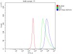 DPYSL5 Antibody by Flow Cytometry in SH-SY5Y Cells Flow cytometry analysis of fixed and permeabilized SH-SY5Y cells using DPYSL5 Antibody. Cells stained with the CRMP5 Polyclonal Antibody (blue) show a clear rightward fluorescence shift relative to the rabbit IgG isotype control (green) and unstained blank control (red), demonstrating intracellular detection of DPYSL5/CRMP5. Cells were fixed with 4% paraformaldehyde and permeabilized before antibody staining. This validation applies to fixed-cell intracellular flow cytometry rather than live-cell surface staining.