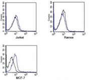 Rabbit IgG Isotype Control Polyclonal Antibody APC Conjugate Jurkat Ramos MCF-7 FACS. Flow cytometry analysis of human Jurkat, Ramos, and MCF-7 cells using Rabbit IgG Isotype Control Polyclonal Antibody APC Conjugate demonstrates minimal background staining and negligible non-specific binding across all tested cell lines. Overlay histograms compare fluorescence profiles of cells alone (black) and allophycocyanin (APC)-conjugated rabbit IgG isotype control antibody (blue), showing closely overlapping distributions indicative of low background fluorescence. This reagent serves as a negative control for fluorescence-based experiments employing APC-labeled rabbit polyclonal antibodies and supports assessment of non-specific antibody binding and background fluorescence.