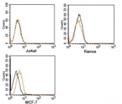 Rabbit IgG Isotype Control Polyclonal Antibody PE Conjugate Jurkat Ramos MCF-7 FACS. Flow cytometry analysis of human Jurkat, Ramos, and MCF-7 cells using Rabbit IgG Isotype Control Polyclonal Antibody PE Conjugate demonstrates minimal background staining and negligible non-specific binding across all tested cell lines. Overlay histograms compare fluorescence profiles of cells alone (black) and phycoerythrin (PE)-conjugated rabbit IgG isotype control antibody (orange), showing closely overlapping distributions indicative of low background signal. This reagent serves as a negative control for fluorescence-based experiments employing PE-labeled rabbit polyclonal antibodies and supports assessment of non-specific antibody binding and background fluorescence.