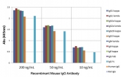 Mouse IgG Antibody for ELISA Subclass Specificity Analysis. ELISA analysis of mouse immunoglobulins demonstrates that clone RM104 selectively recognizes mouse IgG / Ighg through Fc-region binding, with strong signal observed for IgG1, IgG2a, IgG2b, and IgG3 across tested concentrations. No cross-reactivity is detected with IgM, IgA, or IgE, and no reactivity is observed with human or rat IgG. This binding profile supports Fc-specific subclass-independent detection and highlights the utility of this Mouse IgG Antibody for ELISA / Fc-Specific Anti-Mouse IgG Detection Antibody for total IgG measurement in ELISA-based immunoassays.