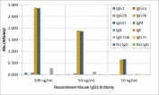 Mouse IgG3 Antibody Biotin ELISA Subclass Specificity Analysis. ELISA analysis of mouse immunoglobulins demonstrates that the parent clone RM218 antibody selectively recognizes Mouse IgG3, with strong signal observed for both IgG3 kappa and IgG3 lambda across tested concentrations. No cross-reactivity is detected with IgG1, IgG2a, IgG2b, IgM, IgA, or IgE, or with human or rat IgG. This binding profile reflects Fab region-directed specificity for mouse IgG3 and is retained in the biotinylated format of the Mouse IgG3 Antibody for ELISA / Biotinylated Anti-Mouse IgG3 ELISA Detection Antibody.