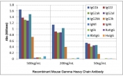 Mouse IgG Antibody for ELISA Subclass Specificity Analysis. ELISA analysis of mouse immunoglobulins demonstrates that clone RMG07 broadly recognizes mouse IgG / Ighg, with strong signal observed for IgG1, IgG2a, IgG2b, and IgG3 across tested concentrations. No cross-reactivity is detected with IgM, IgA, or IgE, and no reactivity is observed with human, rat, or rabbit IgG. This binding profile supports comprehensive subclass coverage and highlights the utility of this Mouse IgG Antibody for ELISA / Pan-Mouse IgG Detection Antibody for total IgG measurement in ELISA-based immunoassays.