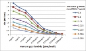 Biotinylated Human Lambda Light Chain Antibody for ELISA-Human IgG3 Lambda Titration Curve. ELISA titration analysis using the unlabeled parent Human Lambda Light Chain Antibody for ELISA clone RM127 demonstrates concentration-dependent detection of human IgG3 lambda-coated wells. Plates were coated with varying amounts of human IgG3 lambda and incubated with serial dilutions of RM127, followed by detection using an alkaline phosphatase-conjugated anti-rabbit IgG secondary antibody. The biotinylated Human Lambda Light Chain Antibody for ELISA is derived from this parent antibody and is designed for use in streptavidin-based detection systems to enable enhanced sensitivity in ELISA applications involving lambda light chain detection.