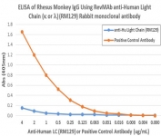 Human Immunoglobulin Light Chains Antibody for ELISA Rhesus Monkey IgG Cross-Reactivity Analysis. ELISA analysis using Human Immunoglobulin Light Chains Antibody for ELISA clone RM129 demonstrates no detectable reactivity with rhesus monkey IgG-coated wells, indicating lack of cross-reactivity with non-human primate immunoglobulin light chains. In contrast, the positive control antibody shows strong signal, confirming assay performance. These results support the specificity of this antibody for human immunoglobulin light chains in ELISA-based detection systems.
