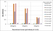 Human IgA Antibody for ELISA Subclass Specificity Analysis. ELISA analysis of human immunoglobulins demonstrates that clone RM128 selectively recognizes Human IgA / IGHA, with strong signal observed for both IgA1 and IgA2 across tested concentrations, indicating binding to the shared alpha heavy chain. No cross-reactivity is detected with other immunoglobulin classes including IgG1, IgG2, IgG3, IgG4, IgM, IgD, or IgE. This binding profile supports comprehensive IgA subclass coverage and highlights the utility of this Human IgA Antibody for ELISA / Anti-IgA Detection Antibody for selective IgA measurement in ELISA-based immunoassays.