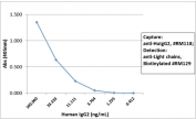 Human IgG2 Antibody Biotin ELISA Human IgG2 Standard Curve. Sandwich ELISA using purified human IgG2 demonstrates that the parent clone RM118 antibody provides strong and concentration-dependent capture of Human IgG2 / IGHG2 across the tested range, supporting accurate quantification. Detection was performed using a biotinylated anti-human light chains (kappa + lambda) antibody (clone RM129), followed by alkaline phosphatase-conjugated streptavidin for signal development. This standard curve reflects the intrinsic binding performance of clone RM118 and is representative of the characteristics retained in the biotinylated format of the Human IgG2 Antibody for ELISA / Biotinylated Anti-Human IgG2 ELISA Detection Antibody.
