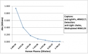 Human IgG4 Fc Antibody for ELISA Sandwich ELISA Human Plasma. Sandwich ELISA analysis demonstrates that clone RM217 functions effectively as a capture antibody for IgG4 / IGHG4 in human plasma, with signal intensity decreasing proportionally with dilution, indicating concentration-dependent detection. Captured IgG4 was detected using a biotinylated anti-human light chains (kappa + lambda) antibody (clone RM129), followed by alkaline phosphatase-conjugated streptavidin for signal development. This assay supports selective Fc-region detection of IgG4 and highlights the utility of this Human IgG4 Fc Antibody for ELISA / Anti-IgG4 Fc Detection Antibody in subclass-specific ELISA workflows.