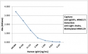 Human IgG4 Fc Antibody for ELISA Sandwich ELISA Human IgG4. Sandwich ELISA analysis using purified human IgG4 demonstrates that clone RM217 functions effectively as a capture antibody for IgG4 / IGHG4, with signal intensity decreasing proportionally with antigen concentration, indicating strong and concentration-dependent detection. Captured IgG4 was detected using a biotinylated anti-human light chains (kappa + lambda) antibody (clone RM129), followed by alkaline phosphatase-conjugated streptavidin for signal development. This assay supports selective Fc-region detection of IgG4 and highlights the utility of this Human IgG4 Fc Antibody for ELISA / Anti-IgG4 Fc Detection Antibody in subclass-specific ELISA applications.