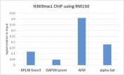 H3K9me1 Antibody / HIST1H3A Heterochromatin Transition Antibody (clone RM150) for ChIP. Chromatin immunoprecipitation analysis of HIST1H3A / Histone H3 Lys9 monomethylation (K9me1) in human HeLa cells using H3K9me1 Antibody / HIST1H3A Heterochromatin Transition Antibody (5 ug). Quantitative PCR shows enrichment at AFM and alpha-satellite regions relative to GAPDH promoter, with moderate signal at RPL30 Exon3, consistent with H3K9me1 marking chromatin transitioning toward repressive heterochromatin states while retaining regulatory flexibility.